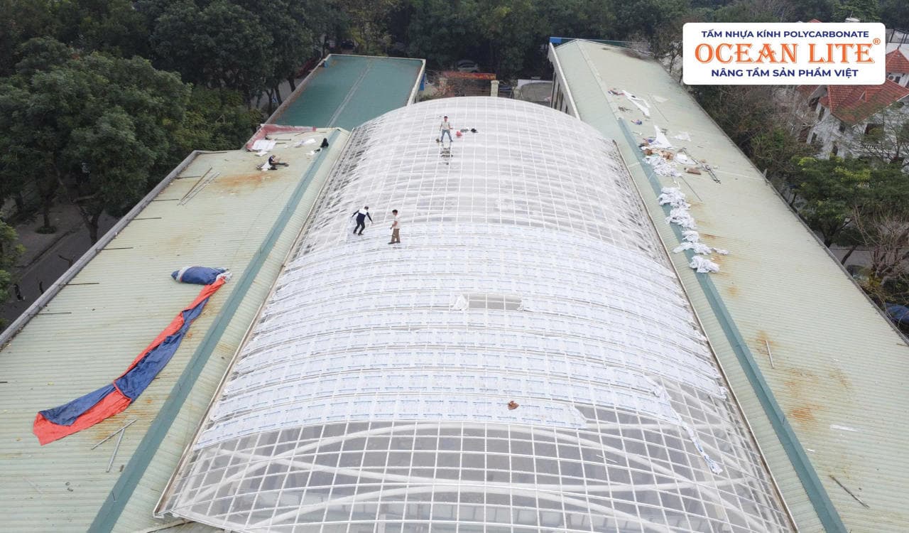 Trường Đại Học Hòa Bình