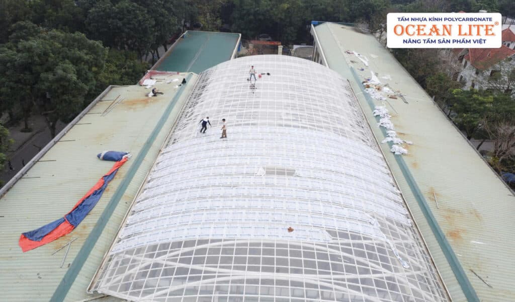 Trường Đại Học Hòa Bình